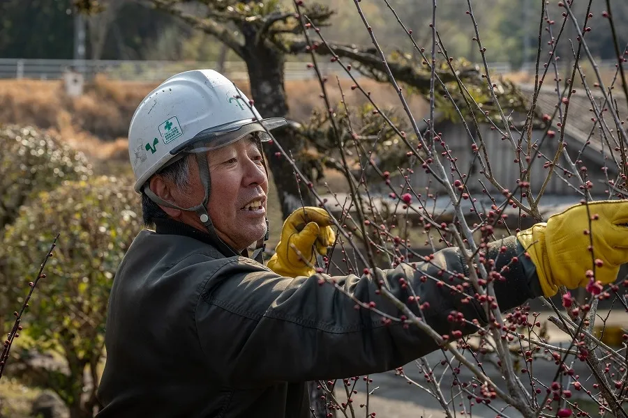 会社概要｜鹿児島県の造園・外構工事 ｜ 善八緑地開発株式会社